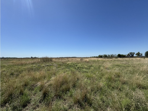 Campo En Venta En Brandsen. 3 Has. De Excelente Suelo Y Con Arboleda.