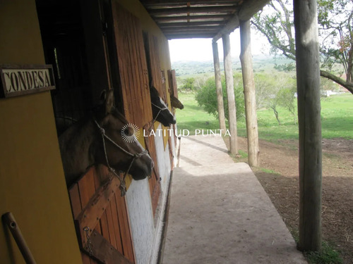 Chacra 24hs En Las Cañas, Maldonado