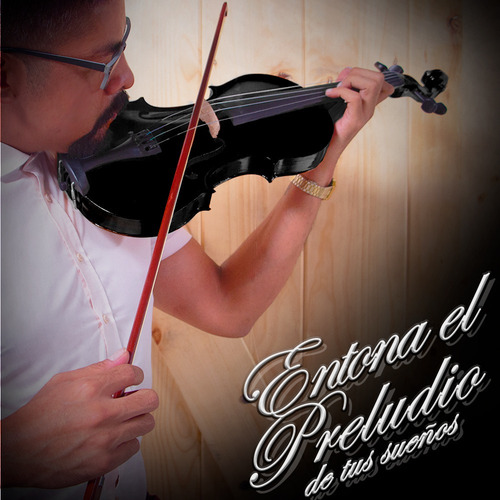 Violin 4/4 Incluye Arco Brea Estuche Acustico Varios Colores