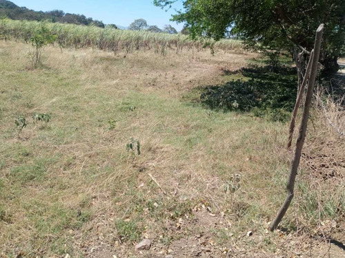 Imagen 3 de 6 de Finca Para Actividad Agropecuaria