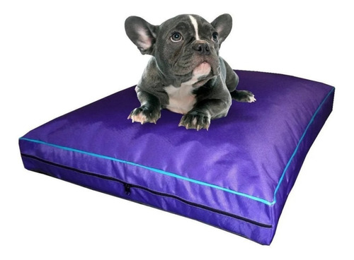 Colchon Liso Antidesgarro 60x55x8 Cm Cama Para Perros