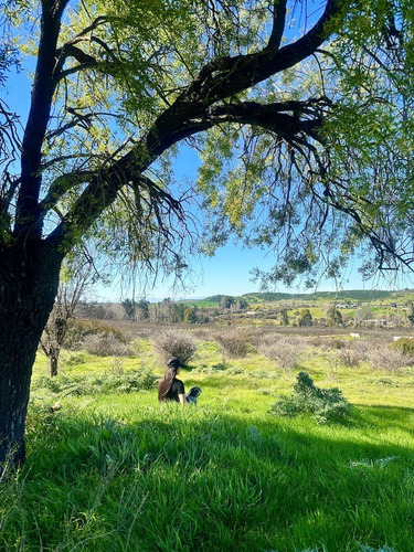 Gran Venta Final En Hacienda Don Bastián A 2 Horas Santiago