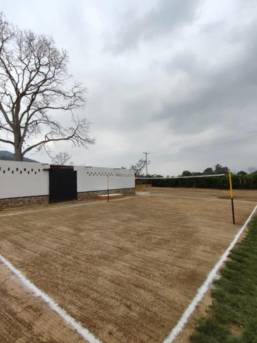 Imagen 10 de 20 de Oportunidad Finca Agro Industrial En Bejuma, Ryes Arriba, LG