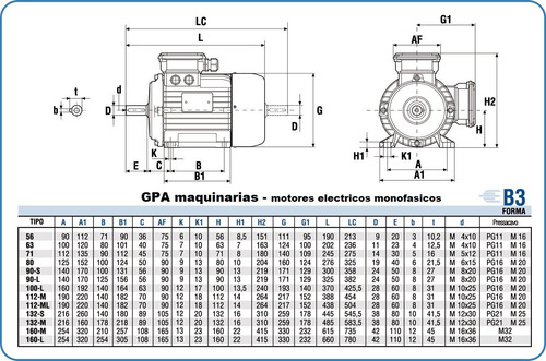 Motor Eléctrico 2 Hp 1400 Rpm 220v G P A Maquinarias
