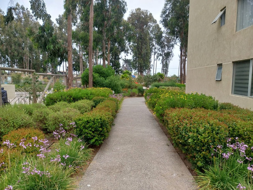 Departamento Amoblado En Algarrobo