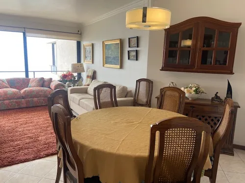 Arriendo Departamento Amoblado Por Días, Espectacular Vista