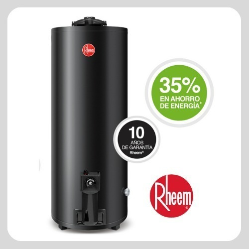 Imagen 6 de 10 de Termotanque A Gas Natural Rheem 80 L Tgnp080rh Conexión Sup.