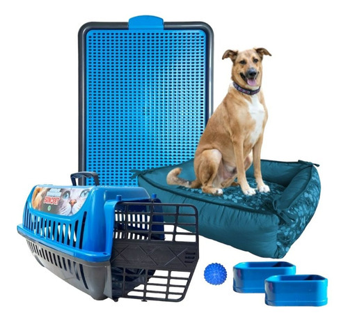 Kit Pet Caminha Cama Confort Transporte Sanitário G Porte Cor Azul