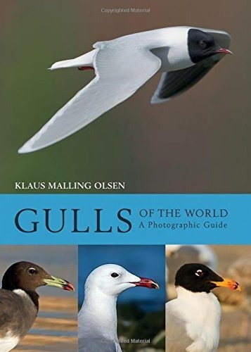 Libro Gulls Of The World A Photographic Guide