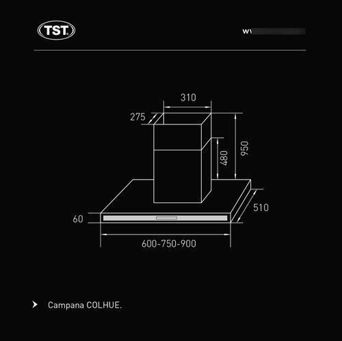 TST Pared Colhue CO-30090-740 Extractor/Purificador - 510 mm - 600 mm - 60 mm - Plateado - 220V - De pared