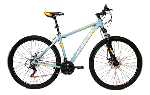 Bicicleta Phoenix Mtb Aro 29 21 Velocidades