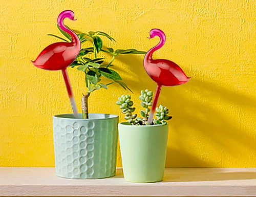 Globos De Riego Automático De Vidrio Para Plantas