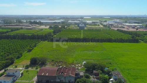 Imagen 12 de 21 de Venta Campo 11 Has Rincon Del Cerro Montevideo