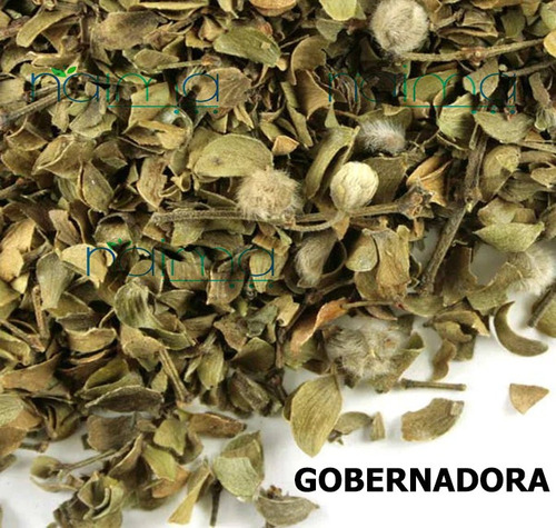 Gobernadora Planta Seca 2 Kg 100% Natural