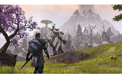 Juego The Elder Scrolls en línea - Xbox One