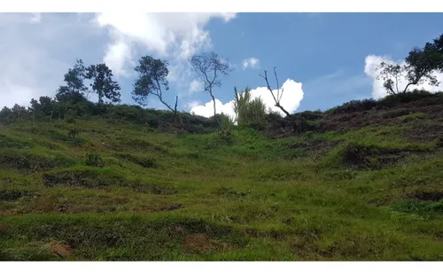 Venta Lote Vereda La Primavera El Peñol(mls#243148)