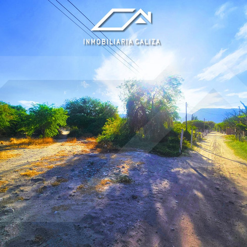 Finca Terreno Loro Huasi - Santa Maria - Catamarca