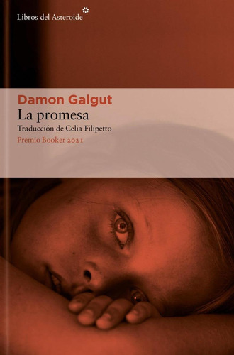 Libro: La Promesa. Galgut, Damon. Del Asteroide