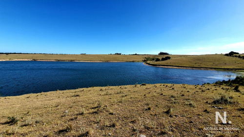 Gran Chacra Entre José Ignacio Y Garzón.