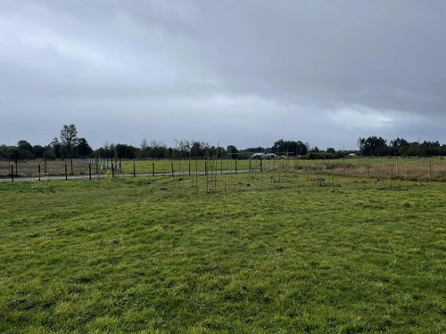Venta Parcela 5000mts Paillaco
