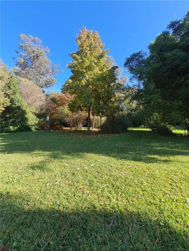 Imagen 4 de 17 de Propiedades Rurales Agricola - Venta
