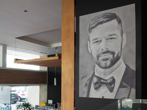 Cuadro Moderno De Ricky Martin Mural Elegante