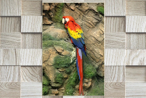 Cuadro 20x30cm Loro Guacamayo Colores Plumas Selva Ave M12