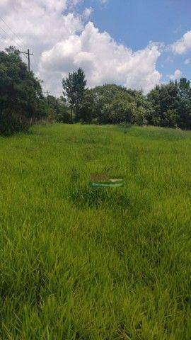 Imagem 5 de 11 de Terreno À Venda, 24500 M² Por R$ 300.000 - Centro - Biritiba-mirim/sp - Te3426