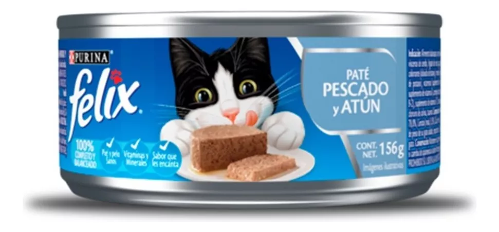 Tercera imagen para búsqueda de gato felix