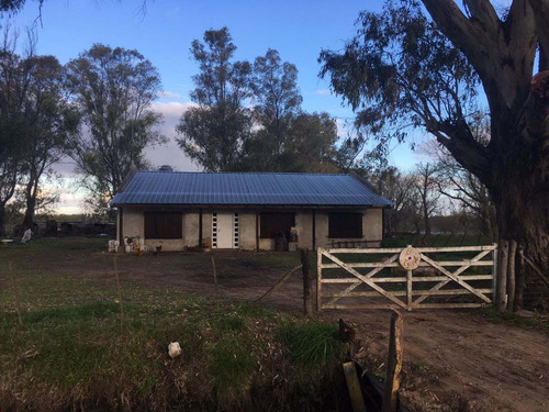 Imagen 2 de 12 de Campo Con Casa En Las Flores ,7 Hectarias,sojero