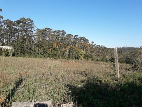 Imagem 9 de 9 de Area - Fazenda Aya - Ref: 2245 - V-4429