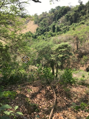 Chácara Á Venda Em Bueno Brandão - Ch00020 - 68676926