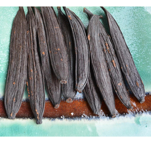 1 Muda Vanilla Pompona Baunilha Do Cerrado Pronta Entrega