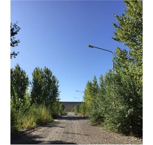 Imagen 14 de 19 de Venta Lote En Barrio La Forestada - Añelo -