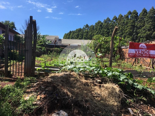 Imagem 5 de 5 de Terreno À Venda, Santa Felicidade - Cascavel/pr - 11309
