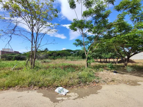 Lote En Venta En Bocono. Cod V28364