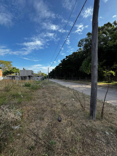 Terreno En Venta En San Bernardo Oportunidad