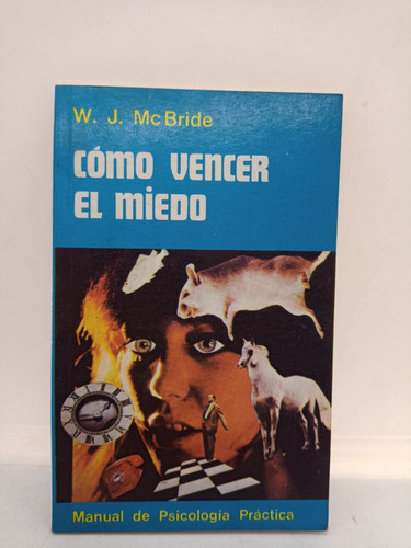 Como Vender El Miedo - W. J. Mcbride - Lidiun - Usado 