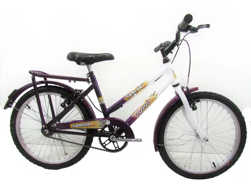 Bicicleta de bia aro 20 sales