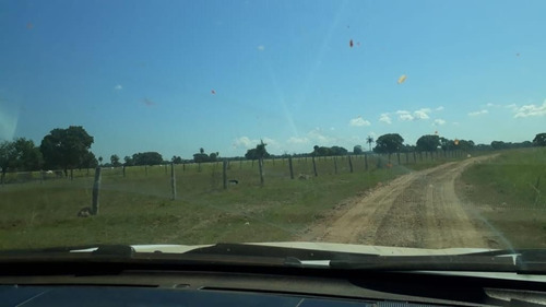 Imagem 9 de 17 de Fazenda - Área Rural A Venda Em Barão De Melgaço - Mt - Fa0191
