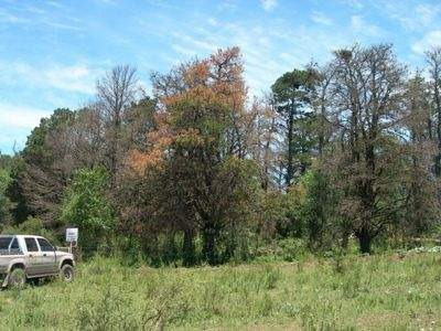 Imagen 7 de 7 de Venta 2 Ultimos Lotes-potrero De Garay- Escritura-1.000 M2.c/u.