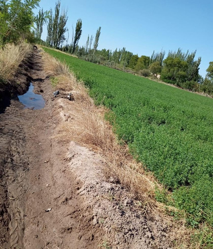 Finca En Venta En Rio Atuel