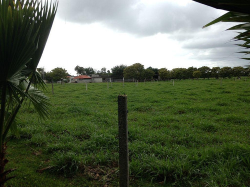 Imagen 8 de 25 de Terreno Sobre Avenida De Cuatro Carriles En Yucatán $320m2 -142m De Frente -71298m2- Tizimín