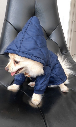 Imagen 3 de 3 de Chaqueta Para Perro Acolchada