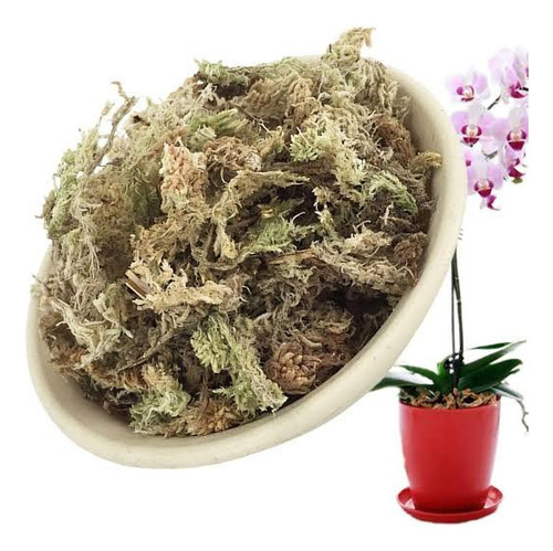 Musgo Sphagnum Deshidratado 150g Para Orquídeas Carnívoras