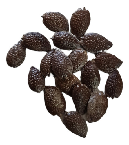 40 Semillas Alta Germinación Maracuya Amarilla Passiflora