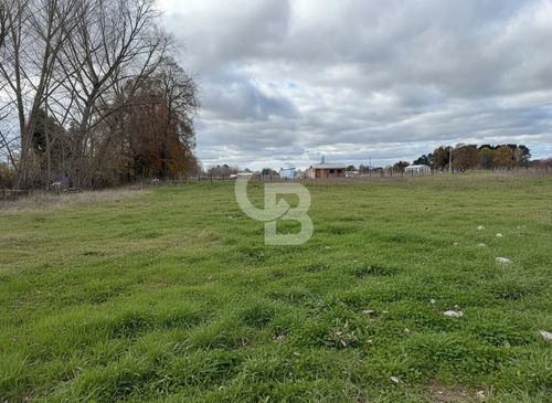 Parcelas 5.000 M² Cerca De Osorno