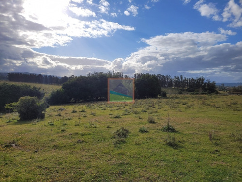 Imagen 19 de 25 de 20has De Campo Sobre Ruta 12 Pueblo Edén