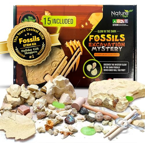 Dino Fossil Dig Kit For Kids 4-12 Discover Learn With Intera