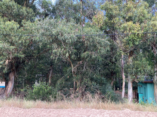 Lote En Bosque De Mar De Las Pampas 